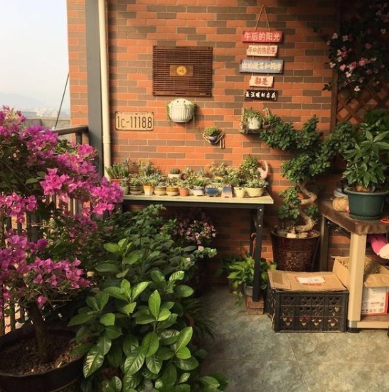 布置|第一天入住新房,玄关设计太漂亮了,最满意客厅和卧室的布置