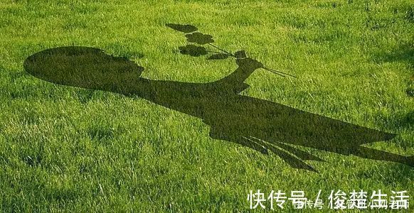 时机|教育孩子的5个最佳时机,尤其是第3个,太好用了!