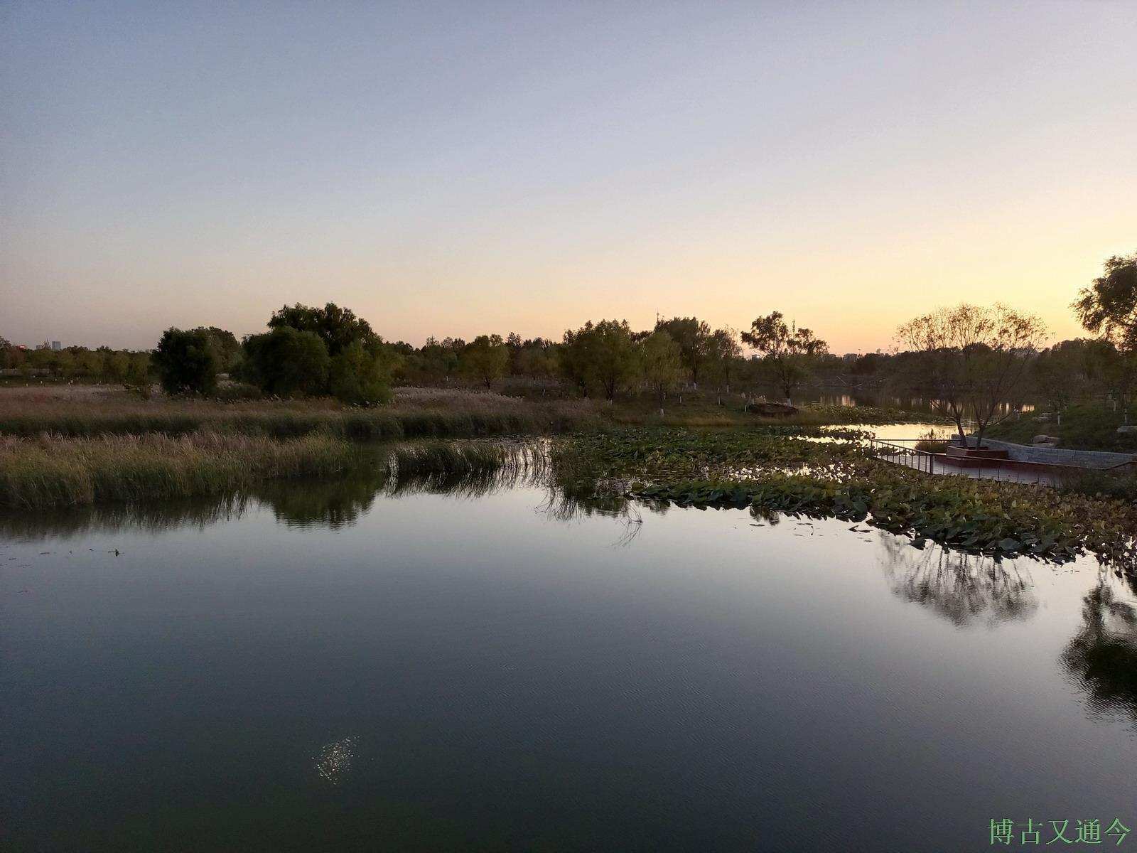 老年|温榆河公园示范区东园,园内的金色光芒撒在大地上