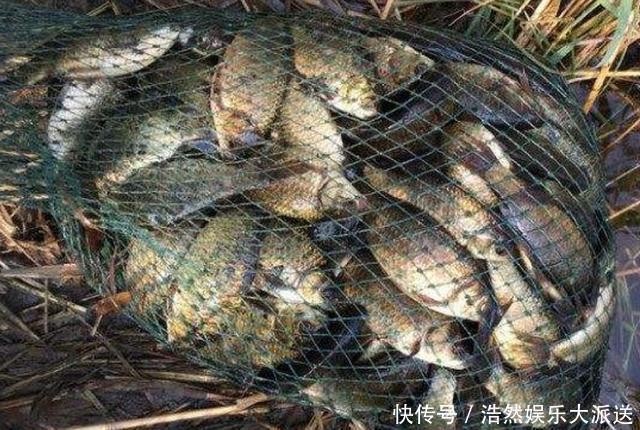 冬钓太难,大板鲫可遇不可求?按我说的做,天气再冷也能猛拉不断