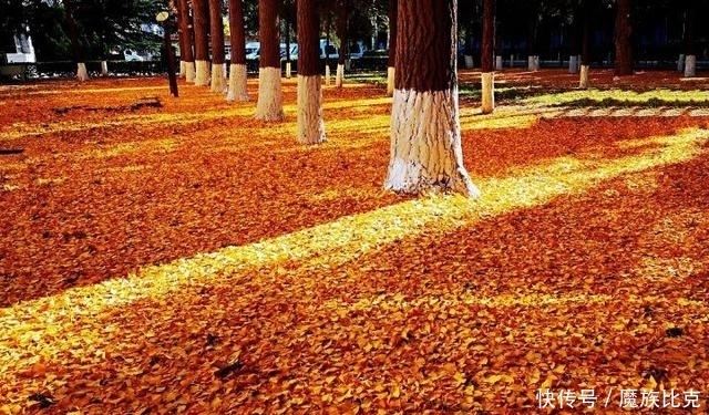 (原创)这就是中国老百姓!