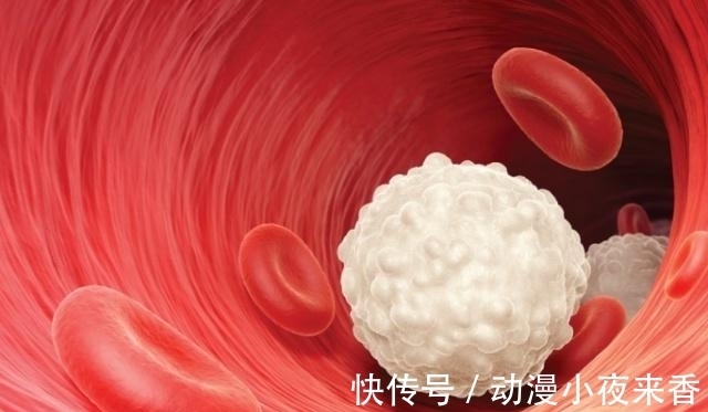 特点|雄性激素旺盛的男人,身体一般会有3个特点,占一个也要恭喜你!