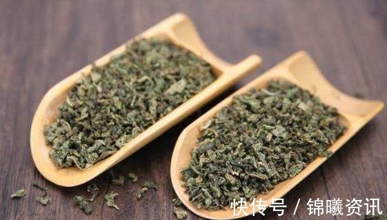 蒲公英|枸杞三斤不如此物1钱,不仅平肝火,还能补脾虚,堪比“养肝王”