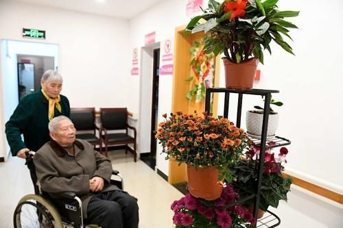 老人|如何让身边的老人，不成为被互联网遗忘的人，看看有心人怎么做