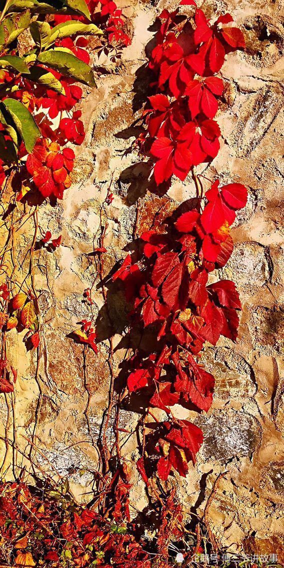 凰城白旗|年底闲下来的老满洲旗人