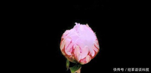 青山|青山几重,回眸一眼就心动,超美古风句子和小诗赠你,此生必读