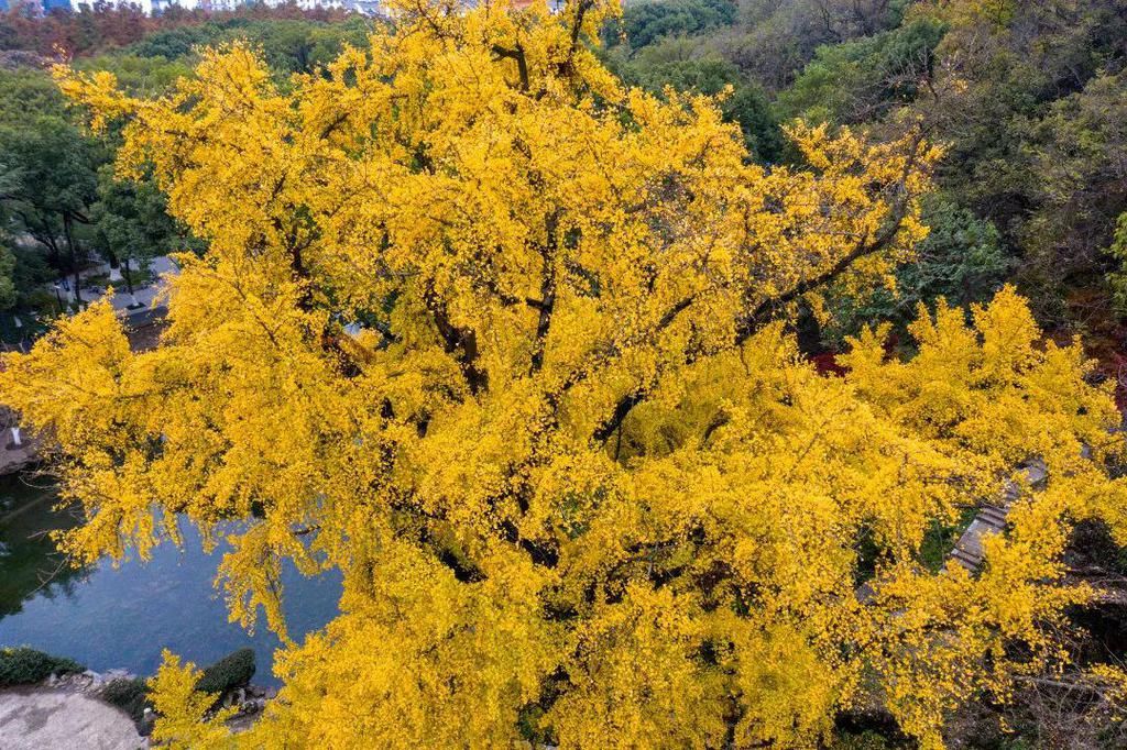  昆山|600年后百戏齐聚昆曲发源地，余音绕梁，共赏江南！