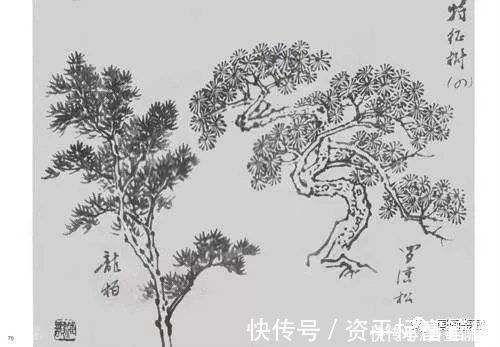枝干@中国画如何画松树、丛树、柳树、竹林,中国画树的画法大全
