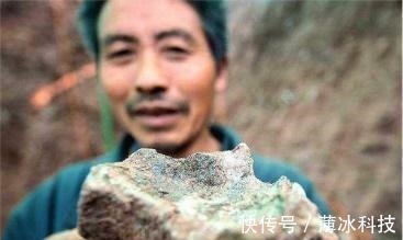 农家汉$他鱼塘挖到天价石头,专家:底下还有切记保密,他一守就是10年