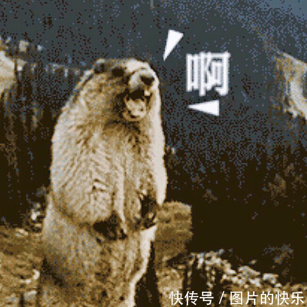 |搞笑神评：这是2万块钱，你拿去多喝点热水