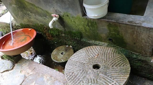 手艺|秦岭深山,主人家做饭手艺不错,满屋子香味