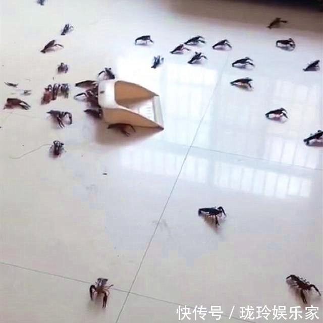 熊孩子|妈妈短暂离开上厕所,再回来“天都要塌了”,妈妈亲生的不能扔