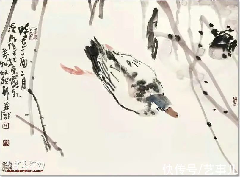 库尔勒!尹沧海教授荷花水禽作品欣赏:笔意简率自由 一派天趣自成