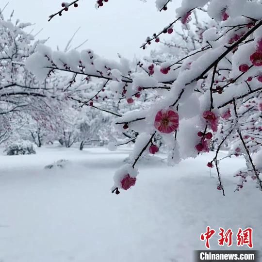 雪天|安徽近70家旅游景区因雪天临时关闭