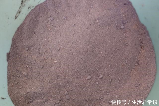 花盆不用买,河边捡堆小石头,做成漂亮的小花盆,养花好有韵味!