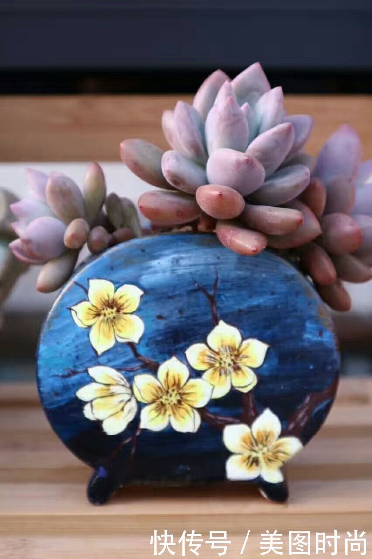 洋房|为了可以养花,我建了座小洋房,终于可以打造梦寐以求的花园了