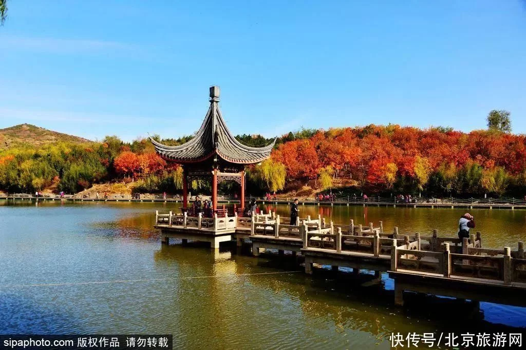 今日寒露 | 登高赏叶，望尽京城金秋好景