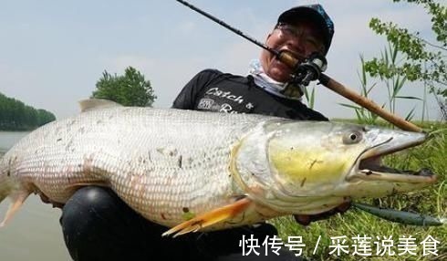 钓鱼人|俗称水老虎,淡水养殖的害鱼,能吃掉水中所有鱼,一条能卖上千元