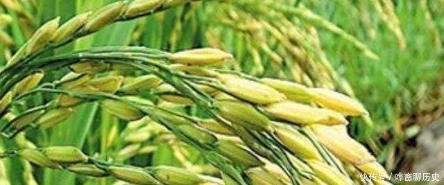 整形手术|袁隆平去整容机构,做面部整形手术,为何会掀起热议招来质疑?