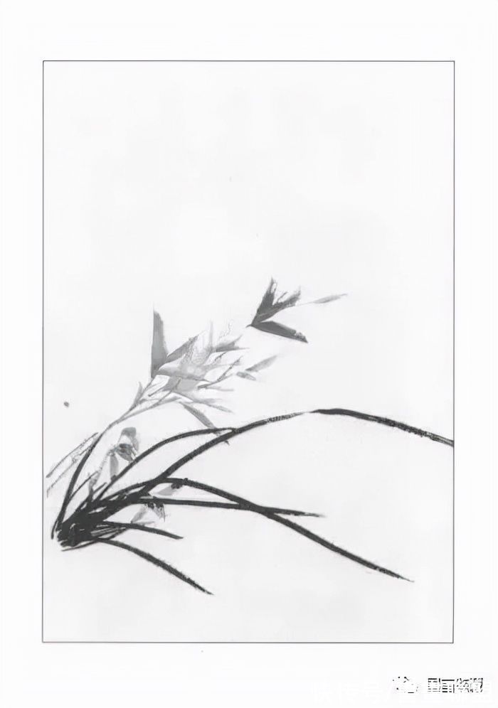 兰叶@国画兰花绘画技法，怎样画兰，兰与竹的组合画法教程