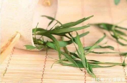 一种叶子堪称“口臭天敌”,泡水喝,火气降了,从此无口臭