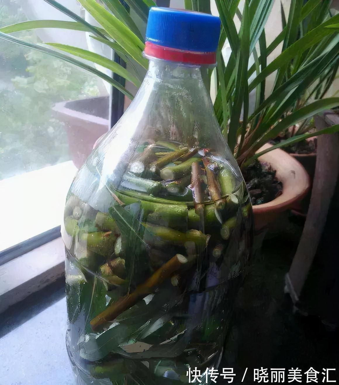 花盆|养花人的“大难题”,花盆插根“筷子”就能解决,不黄叶,开花旺