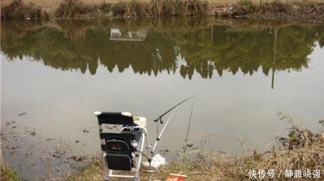 桦尖|老钓手果然有所隐瞒，鲤鱼越大越喜欢“藏”在这3个地方，莫透露