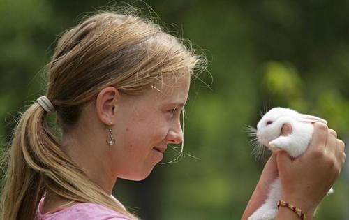 儿子|想要培养出像张亮儿子那样的优秀男孩，三个“诀窍”，父母要掌握
