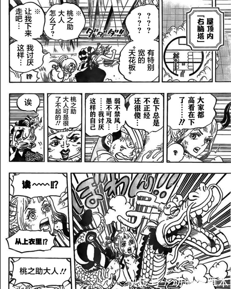 恶魔果实|1007话海贼王高质量汉化:御田穿越时空回到当下,乔巴稳稳给了三灾一拳