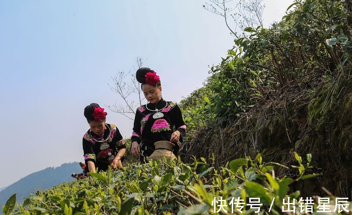 卢仝&史上最经典的一首茶诗是哪首?作者因这首茶诗而被誉为“茶仙”