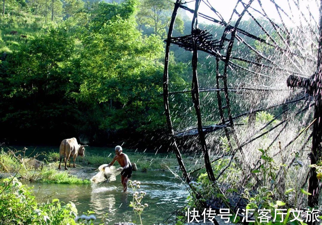 普者黑|青丘缘起，荷海芳华，除了荷花，你还能在普者黑看到什么？