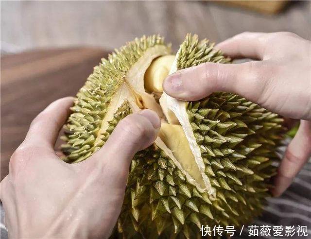 榴莲树一年可结400多个果,为什么卖那么贵原因其实很简单