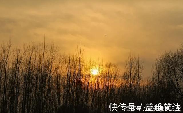 辋川闲居赠裴秀才迪|十首落日诗词:莫道桑榆晚,为霞尚满天