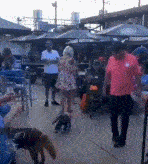 |搞笑GIF趣图:有钱可以任性,有好媳妇生活才扛硬