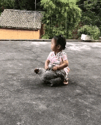 |搞笑GIF:在驾校这样练车 我就不信你练不好