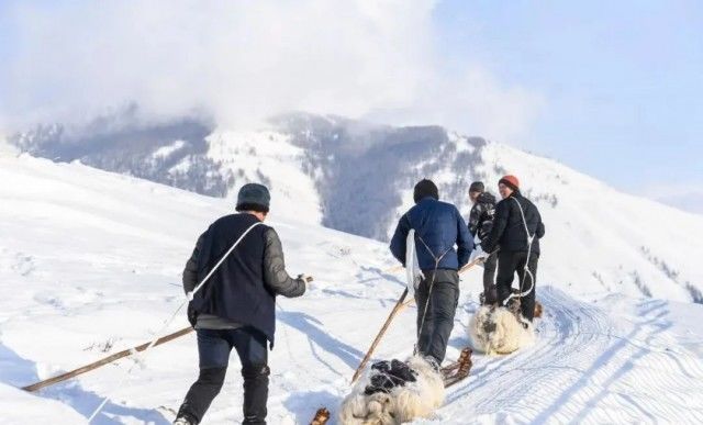 集体经济|苏翊鸣也期待的新疆粉雪，就在这个村