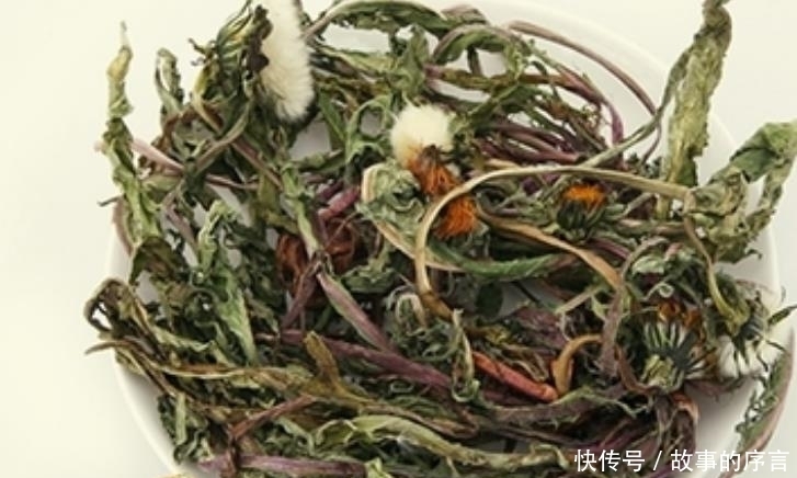 天天|蒲公英泡水,一次放多少合适?能天天泡水喝吗?早看早受益