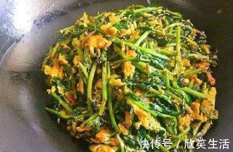 枸杞叶茶|天然的“护肝菜”找到了,隔三差五吃一盘,排出毒素,更利于健康