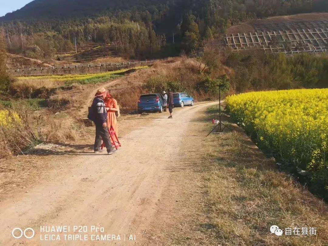 遍地金黄，山口村的油菜花开了，美到犯规！