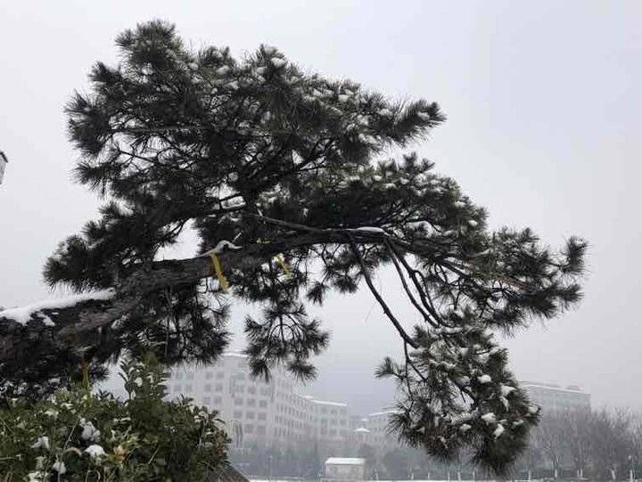 雪景|青未了丨济南雪景美不胜收