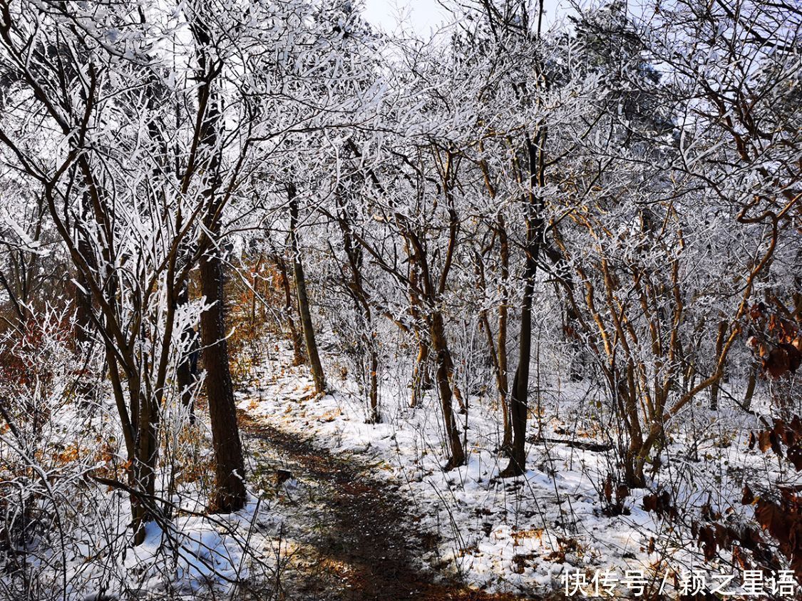 黄泥浆岗|宁波第二高峰，雪国风光，雾凇奇观