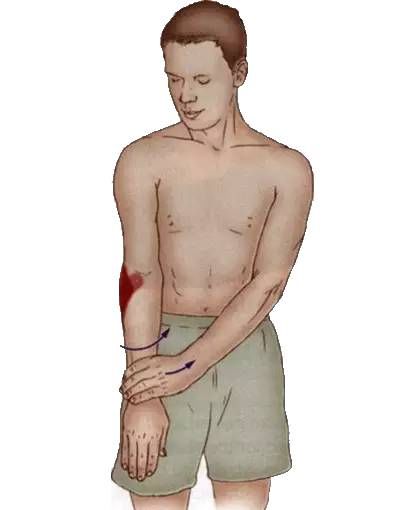 腹外斜肌|你要的拉筋，都在这里！