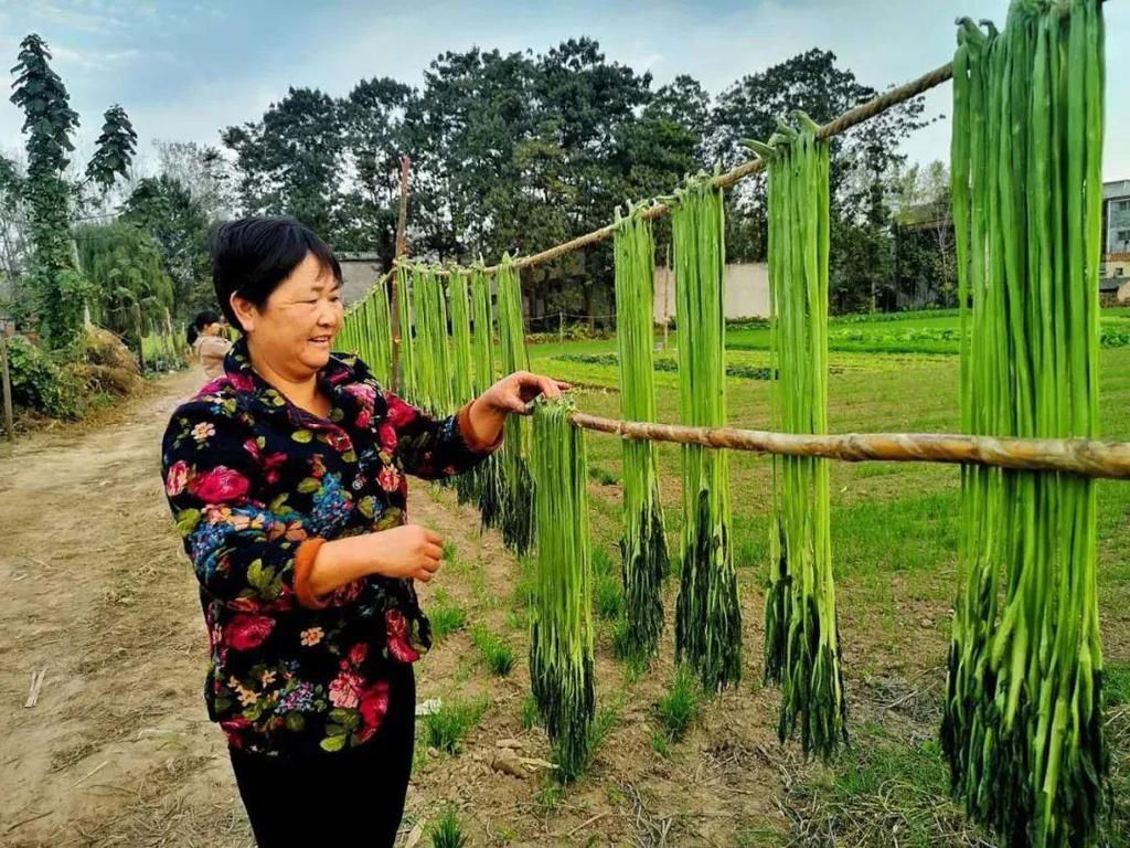  萝卜干|涡阳人过冬必须吃的“硬菜”，你最喜欢啥？