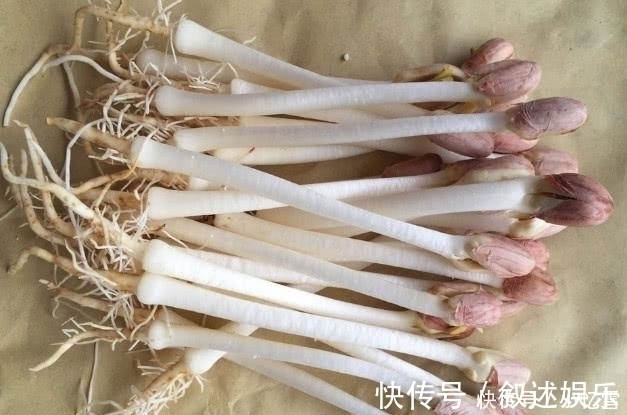 宿便|女人不吃它就可惜了,隔天拉出黑臭宿便,越吃越瘦,色斑也消失了