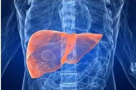 保护肝脏|肝好不好,看四处,“远离三物,做好三字”,肝会越来越好!