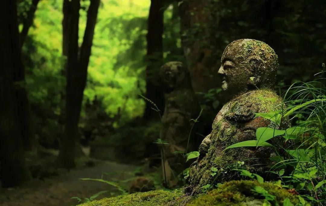 合肥公装公司|合肥公装公司丨日式枯山水,一场直面自我的修行