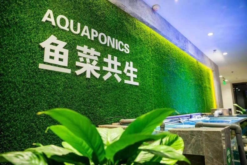 晋中|现代农业是啥样？来晋中国家农高区科创基地“涨知识”