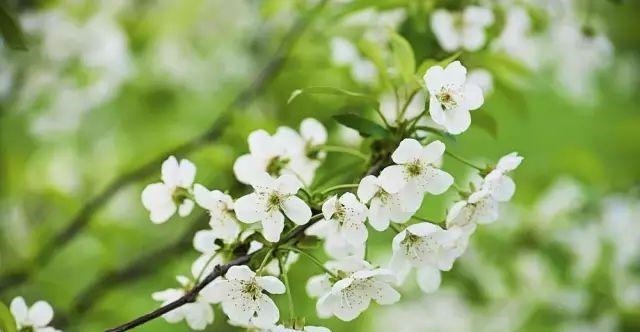 不知|烟雨夜读|不知历日不知年