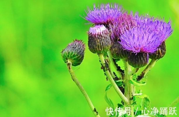 双子座|1天后，爱就爱了，心泛涟漪，财神到，面朝暖阳，邂逅良缘