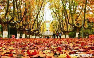 秋色!宋词里的秋思:多情自古伤离别,5首词走进那合成愁的离人心上秋